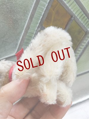 画像3: HAPPY PRICE！　お座り猫さん　SUSI　シュタイフ　キャット　１０ｃｍ　