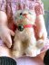 画像4: HAPPY PRICE！　お座り猫さん　SUSI　シュタイフ　キャット　１０ｃｍ　 (4)