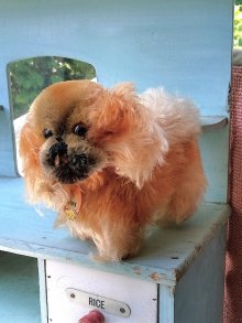 他の写真2: ペキニーズ　シュタイフ　ヴィンテージドッグ　