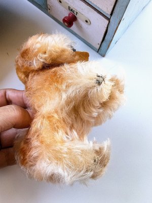 画像4: ペキニーズ　シュタイフ　ヴィンテージドッグ　