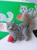 画像1: 小さなしま猫さん　ヴィンテージ　WAGNER　旧西ドイツ　KUNSTLERSCHUTZ (1)