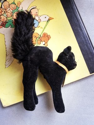画像5: 目が点になってる黒猫さん　ブラック　トムキャット　小さいベルベット猫　シュタイフ
