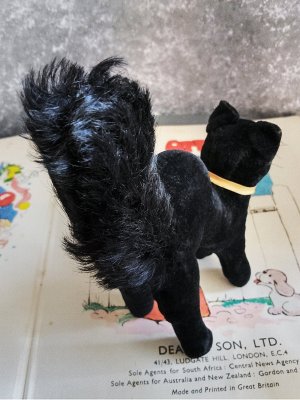 画像3: 目が点になってる黒猫さん　ブラック　トムキャット　小さいベルベット猫　シュタイフ