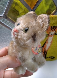 他の写真3: 小さな猫さん　SUSI　シュタイフ　キャット　１０ｃｍ　