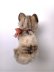 画像2: 小さな猫さん　SUSI　シュタイフ　キャット　１０ｃｍ　 (2)