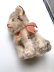 画像5: 小さな猫さん　SUSI　シュタイフ　キャット　１０ｃｍ　 (5)