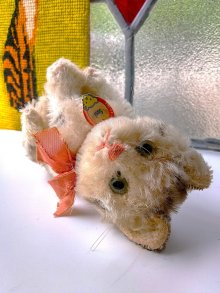 他の写真2: 小さな猫さん　SUSI　シュタイフ　キャット　１０ｃｍ　