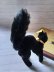 画像3: 目が点になってる黒猫さん　ブラック　トムキャット　小さいベルベット猫　シュタイフ　１０ｃｍ (3)