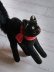画像4: 目が点になってるベルベットの黒猫　トムキャット　シュタイフ　８ｃｍ (4)