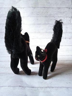 右の黒猫です。