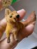 画像1: 森の動物　キツネ　ワグナー社　WAGNER　ミニチュア　Kunstlerschutz (1)