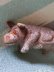 画像3: サバンナの動物　ベビーかばさん　WAGNER社　KUNSTLERSCHUTZ (3)