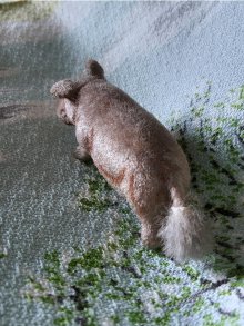 他の写真2: サバンナの動物　ベビーかばさん　WAGNER社　KUNSTLERSCHUTZ