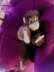 画像2: ベビーチンパンジー　Jocko　シュタイフ　小さいお猿さん (2)