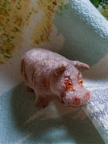 他の写真1: サバンナの動物　ベビーかばさん　WAGNER社　KUNSTLERSCHUTZ
