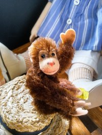 ベビーチンパンジー　Jocko　シュタイフ　小さいお猿さん　ボタン・タグ