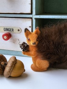 他の写真3: 松ぼっくりを抱いたリス　ドイツ　森の動物　デッドストック　赤リスと灰色リス　
