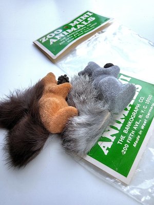 画像2: 松ぼっくりを抱いたリス　ドイツ　森の動物　デッドストック　赤リスと灰色リス　