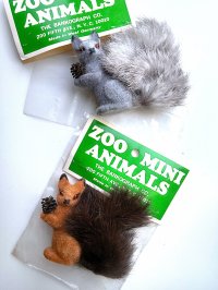 松ぼっくりを抱いたリス　ドイツ　森の動物　デッドストック　赤リスと灰色リス　