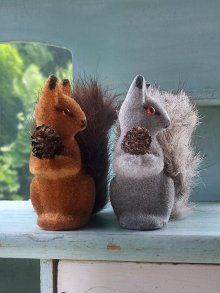 他の写真2: 松ぼっくりを抱いたリス　ドイツ　森の動物　デッドストック　赤リスと灰色リス　