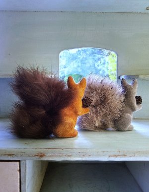 画像4: 松ぼっくりを抱いたリス　ドイツ　森の動物　デッドストック　赤リスと灰色リス　