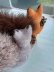 画像5: 松ぼっくりを抱いたリス　ドイツ　森の動物　デッドストック　赤リスと灰色リス　 (5)