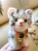 画像4: 猫のTUBBY 　ピスタチオグリーンのガラス目　シュタイフ　８ｃｍ　キャット (4)