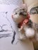 画像5: 猫のTUBBY 　ピスタチオグリーンのガラス目　シュタイフ　８ｃｍ　キャット (5)