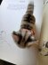 画像3: 猫のTUBBY 　ピスタチオグリーンのガラス目　シュタイフ　８ｃｍ　キャット (3)