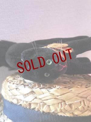 画像1: 目が点になってるベルベットの黒猫　トムキャット 　最小サイズ　シュタイフ　