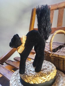 他の写真2: 目が点になってるベルベットの黒猫　トムキャット 　最小サイズ　シュタイフ　