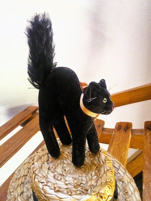画像3: 目が点になってるベルベットの黒猫　トムキャット 　最小サイズ　シュタイフ　