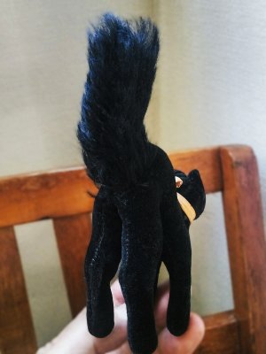 画像4: 目が点になってるベルベットの黒猫　トムキャット 　最小サイズ　シュタイフ　
