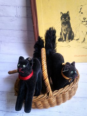 左の黒猫です。