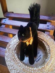 他の写真3: 目が点になってるベルベットの黒猫　トムキャット 　最小サイズ　シュタイフ　