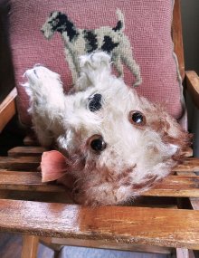 他の写真1: 仔犬のMOLLY　シュタイフドッグ　１５ｃｍ　ヴィンテージ