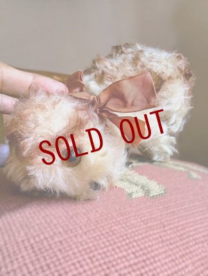 画像3: 仔犬のMOLLY　シュタイフドッグ　１５ｃｍ　ヴィンテージ