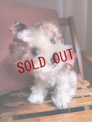 画像1: 仔犬のMOLLY　シュタイフドッグ　１５ｃｍ　ヴィンテージ