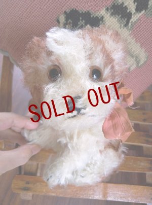 画像4: 仔犬のMOLLY　シュタイフドッグ　１５ｃｍ　ヴィンテージ