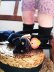 画像2: 目が点のベルベットの黒猫　トムキャット 　最小サイズ　シュタイフ　 (2)