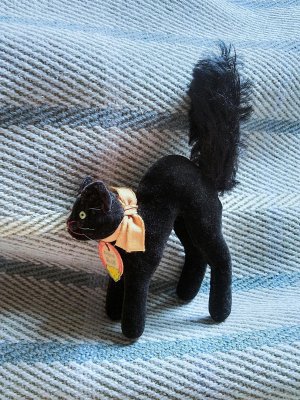 画像4: 目が点のベルベットの黒猫　トムキャット 　最小サイズ　シュタイフ　
