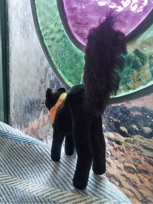 画像3: 目が点のベルベットの黒猫　トムキャット 　最小サイズ　シュタイフ　