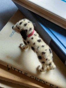 他の写真3: ダルメシアン　フレンドリードッグ！　Künstlerschutz　WAGNER　