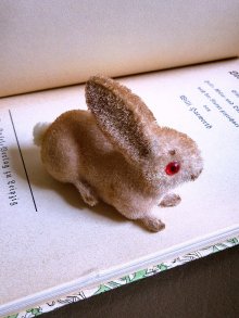 他の写真2: 赤い眼をした子うさぎ　ドイツ　Wagner　Kunstlerschutz