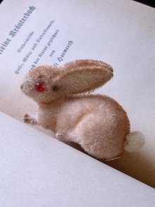 他の写真1: 赤い眼をした子うさぎ　ドイツ　Wagner　Kunstlerschutz