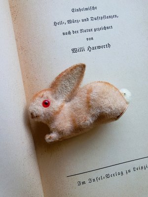 画像5: 赤い眼をした子うさぎ　ドイツ　Wagner　Kunstlerschutz