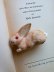 画像5: 赤い眼をした子うさぎ　ドイツ　Wagner　Kunstlerschutz (5)