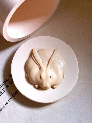 画像1: 象牙色のうさぎさん　セルロイドケース　ヴィンテージの蓋物　フレンチアイボリー