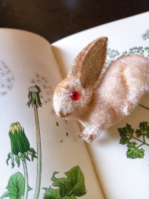 画像3: 赤い眼をした子うさぎ　ドイツ　Wagner　Kunstlerschutz