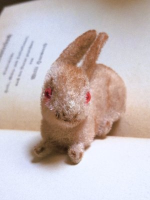 画像1: 赤い眼をした子うさぎ　ドイツ　Wagner　Kunstlerschutz